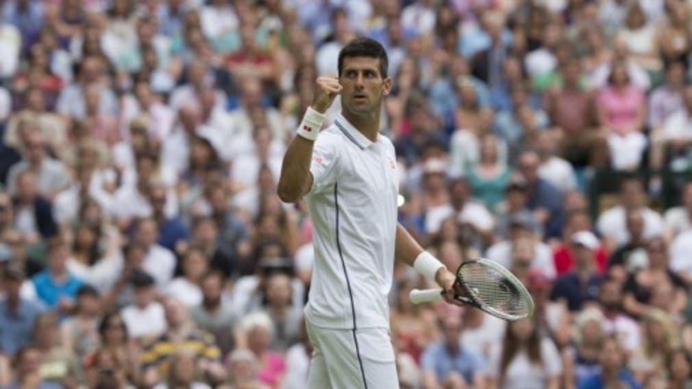 Top seed Novak Djokovic came through a tough encounter against Radek Stepanek 6-4 6-3 6-7(5) 7-6(5) but David Ferrer and Ernests Gulbis will not be...