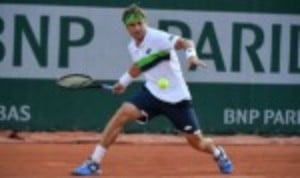 David Ferrer sparked scenes of jubilation in Valencia as he sealed a dramatic 3-2 comeback victory for Spain over Germany