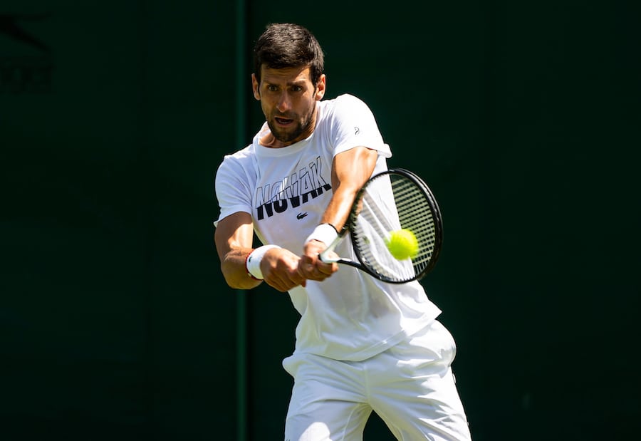 Novak Djokovic Wimbledon 2019 first round victory