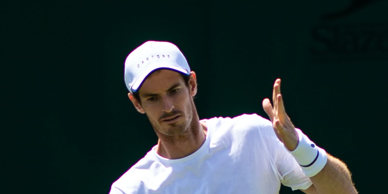Andy Murray Wimbledon 2019
