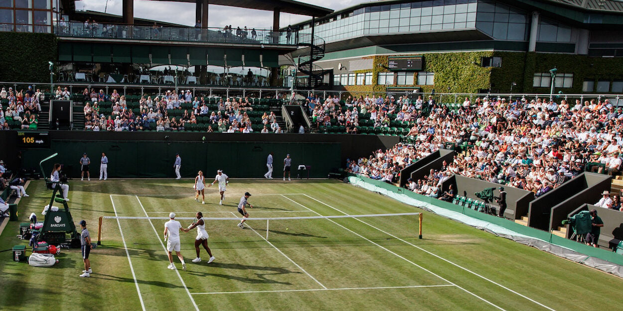 Wimbledon serves upcycled tennis balls as homes for harvest mice