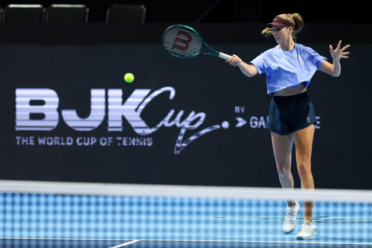 Photo by Zhizhao Wu/Getty Images for LTA